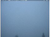 Snapshot taken on 03.10.2023 am31 06:49