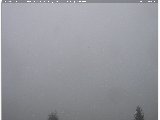 Snapshot taken on 03.10.2023 am31 07:39